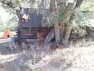recent photo