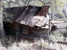 recent photo