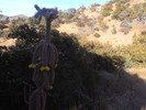 photo thumbnail #6