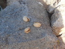 photo thumbnail #13