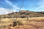 photo thumbnail #1