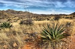 photo thumbnail #4