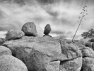 photo thumbnail #12