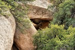 photo thumbnail #13