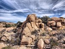 photo thumbnail #15