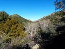 photo thumbnail #4