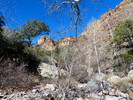 photo thumbnail #11