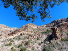 photo thumbnail #12