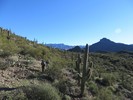 photo thumbnail #2
