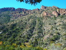 recent photo