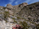 photo thumbnail #15