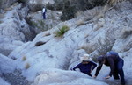 photo thumbnail #7