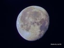 photo thumbnail #3