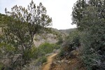 photo thumbnail #1