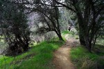 photo thumbnail #2