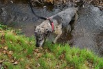 photo thumbnail #4