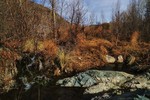 photo thumbnail #5