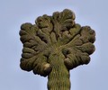 photo thumbnail #14