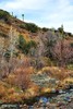 photo thumbnail #15