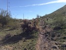 photo thumbnail #3