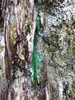 photo thumbnail #11
