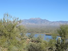 photo thumbnail #5