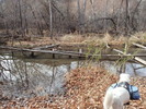 photo thumbnail #10