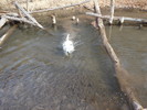 photo thumbnail #11