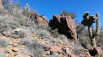 photo thumbnail #3