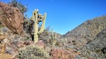 photo thumbnail #9