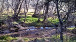 photo thumbnail #15