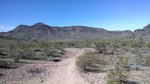 photo thumbnail #4