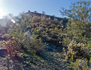photo thumbnail #7