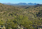 photo thumbnail #14