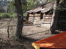 photo thumbnail #11