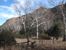 photo thumbnail #14