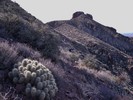 photo thumbnail #9
