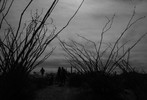 photo thumbnail #15
