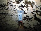photo thumbnail #11