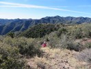 photo thumbnail #7