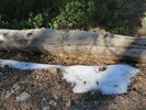 photo thumbnail #12