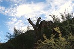 photo thumbnail #2