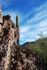 photo thumbnail #12