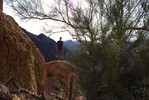 photo thumbnail #13