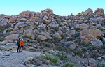 photo thumbnail #8