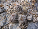 photo thumbnail #1