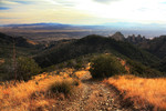 photo thumbnail #2