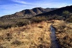 photo thumbnail #6