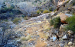 photo thumbnail #1