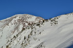photo thumbnail #3